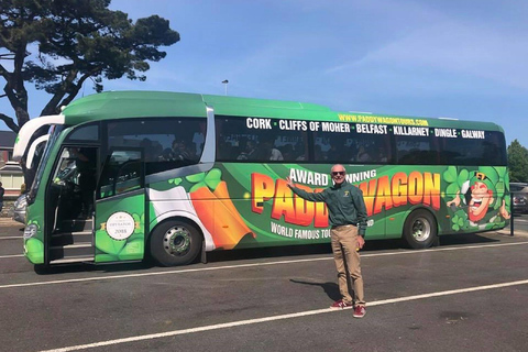 From Limerick: Full-Day Guided Tour of Cliffs of Moher