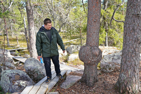 Rovaniemi: Övertorneå e a colina Aavasaksa. História e natureza