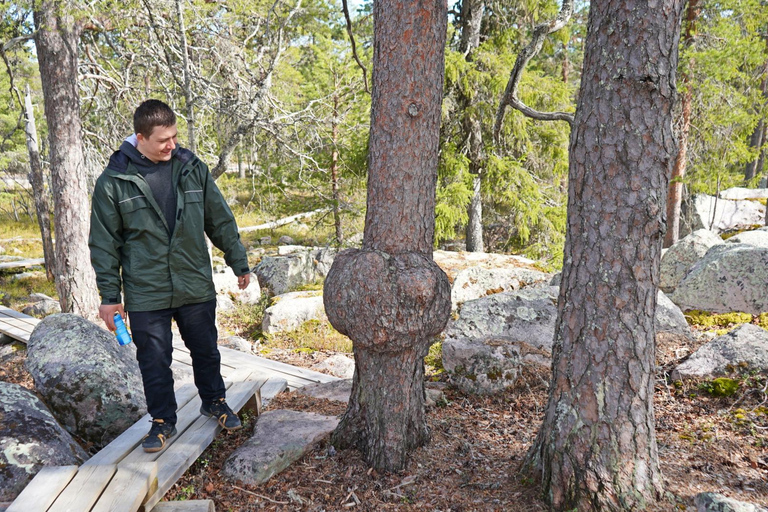 Rovaniemi: Övertorneå e a colina Aavasaksa. História e natureza