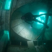 Doppelter Tauchgang im Ocean Revival Park