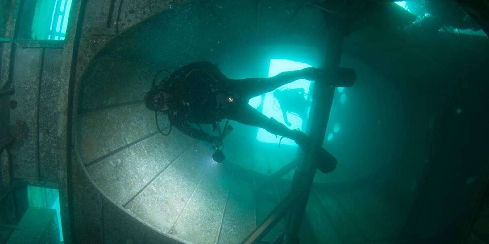 Double Dive at the Ocean Revival Park