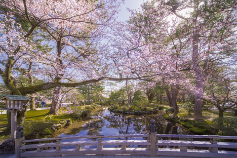 4-Day Cultural Tour from Tokyo to Kanazawa & Fukui 4-Day from Tokyo to Kanazawa & Fukui（No tour guide）