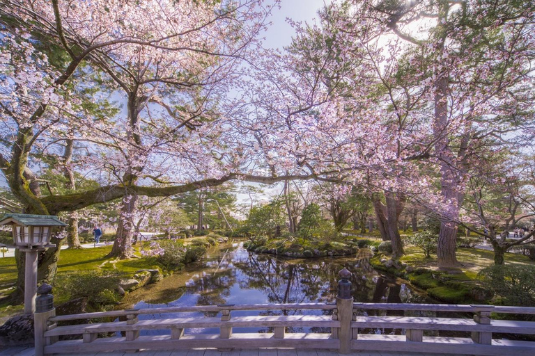 4-Day Cultural Tour from Tokyo to Kanazawa & Fukui 4-Day from Tokyo to Kanazawa & Fukui（No tour guide）