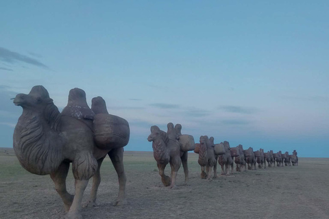 Ulaanbaatar: 7-Day Gobi Desert & Terelj Park Tour