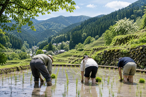 From Tokyo: Rice Terrace Water Walk & Stone Wall Tour