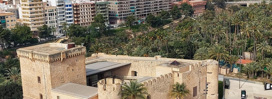 Elche : visite à pied du centre historique et du jardin botanique Huerto de Cura