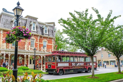 Visite des chutes du Niagara au départ de Toronto avec Niagara Skywheel