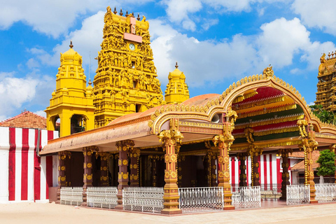 斯里兰卡：10 天未探索的东北部私人观光斯里兰卡：10 天未探索的东北私人观光