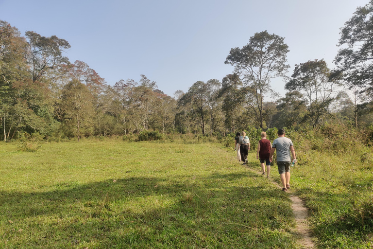 COLLINE E BACKWATERS DEL KERALA - 5 NOTTI / 6 GIORNI