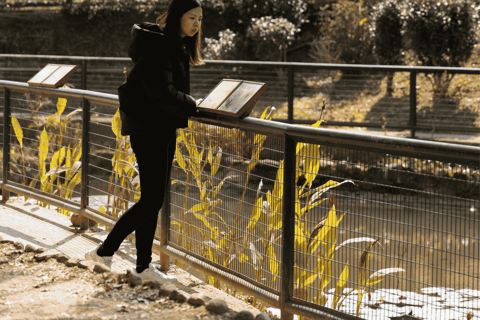 Hong Kong Eco-tourism: Guided Forest Bathing Experience Private Forest Therapy Session
