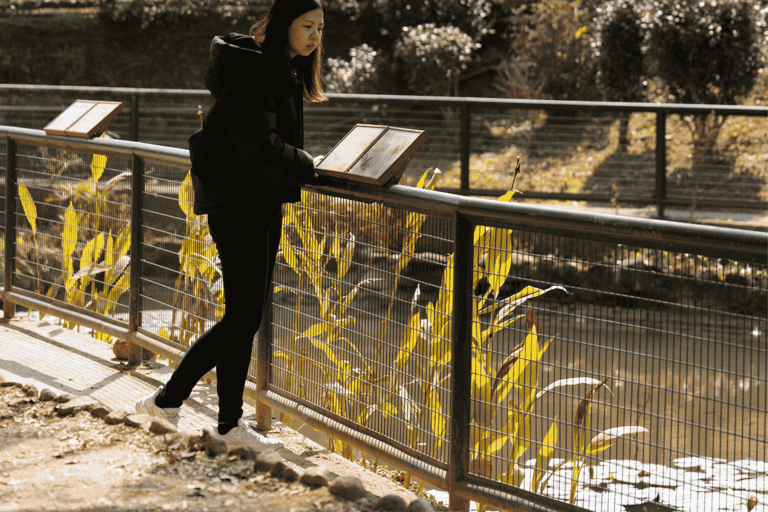 Hong Kong Eco-tourism: Guided Forest Bathing Experience Private Forest Therapy Session