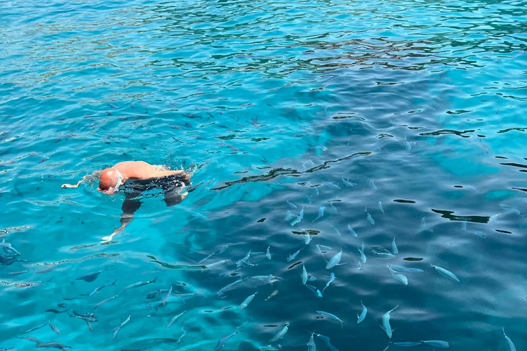 Santa Ponsa: Boat Rental Without a License 4 HOURS BOATS MALLORCA LICENSE FREE