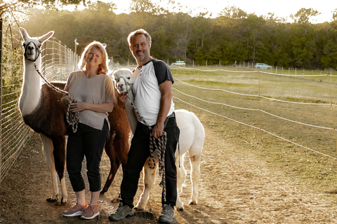 Mödling: Excursión panorámica guiada con alpacas y llamas