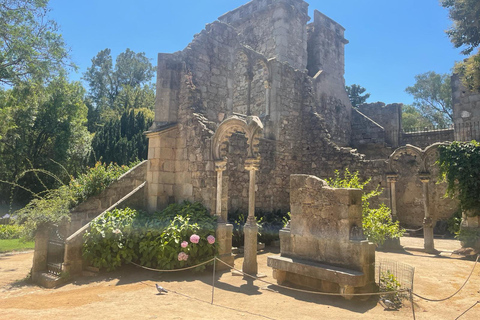 Évora, chapelle des os, temple romainDepuis Lisbonne : Évora - visite d&#039;une jounée