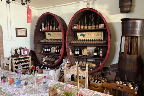 Winery & Vineyard Tour with Guided Tasting near Pisa Wine Tour in English