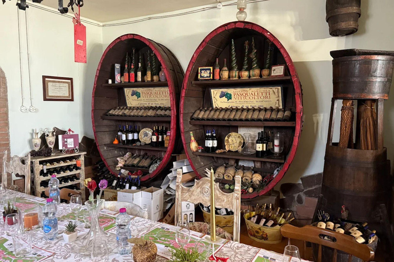 Winery & Vineyard Tour with Guided Tasting near Pisa Wine Tour in English