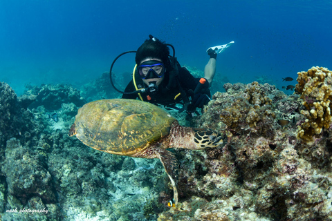 MUSCAT: Daymaniyat Island Snorkeling & Try-Dive + BBQ Lunch