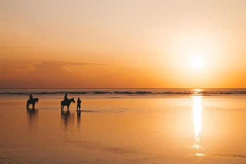 Oman-Salalah: Sunset Beach Horseback Ride with Hotel Pickup