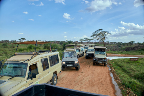 Arusha: 3-Day Serengeti Safari with Accommodation
