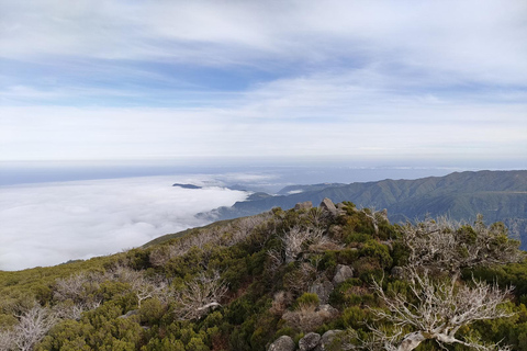 Funchal : randonnée au Pico Ruivo et à l&#039;Achada do Teixeira avec transfertFunchal : transfert pour randonnée au Pico Ruivo et à Achada do Teixeira