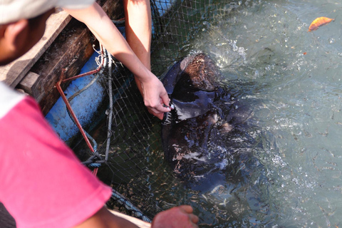 Langkawi Signature Mangrove Discovery Bootstour (geteilt)Signature Mangrove Discovery Bootstour - 4 Stunden (geteilt)