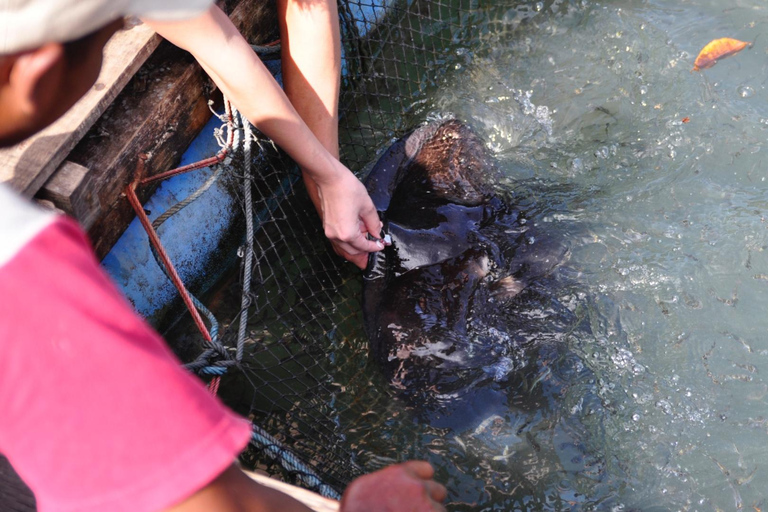 Langkawi Mangrove ontdekkingstocht per boot (Gedeeld)Mangrove Ontdekkingsrondvaart - 4 uur (Gedeeld)