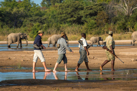 Livingstone: Mosi-oa-Tunya National Park Walking Safari