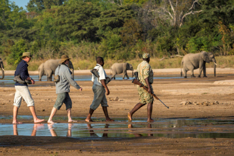 Livingstone: Mosi-oa-Tunya National Park Walking Safari