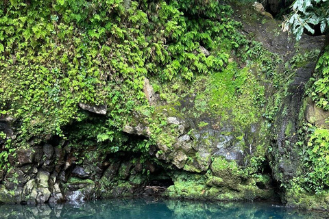 Nordeste watervallen halve dag wandelingPrivébelevenis met de watervallen van Nordeste