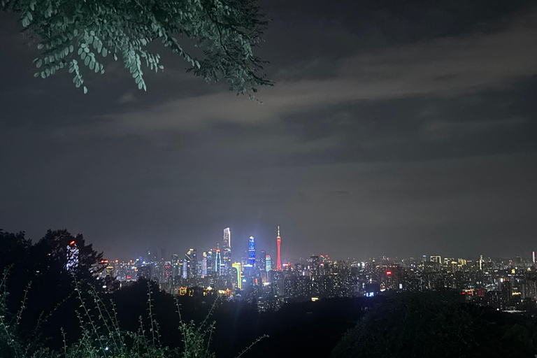 Guangzhou: Jade Market Private Tour and Guzheng Music Class