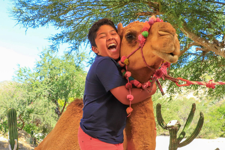 Los Cabos: Camel Ride in the Canyon & Thrilling Water-Slides