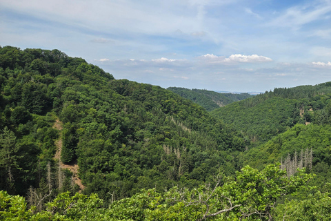 Boppard: geführte Wanderung auf der Traumschleife "Hasenkammer"