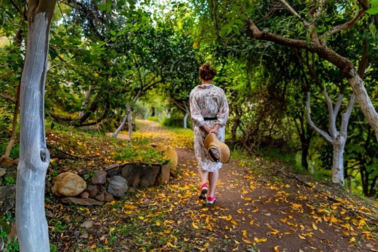 Kreta: Botanisches &amp; Bergabenteuer mit lokalem Essen