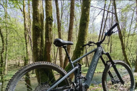 Zanzibar: Zipline Adventure At Masingini Forest Zanzibar: Zipline Adventure At Masingini Forest