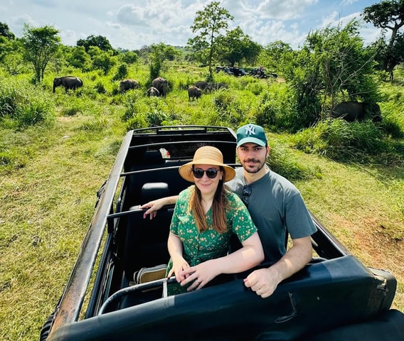 Private Kandy to Sigiriya and Minneriya Safari Day Tour