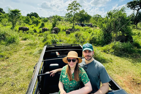 Privétour van Kandy naar Sigiriya en Minneriya Safari Dagtour