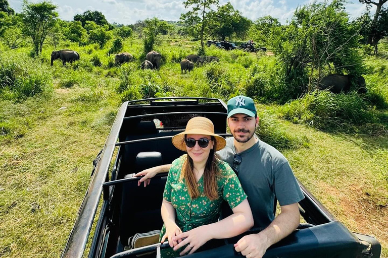 Privétour van Kandy naar Sigiriya en Minneriya Safari Dagtour