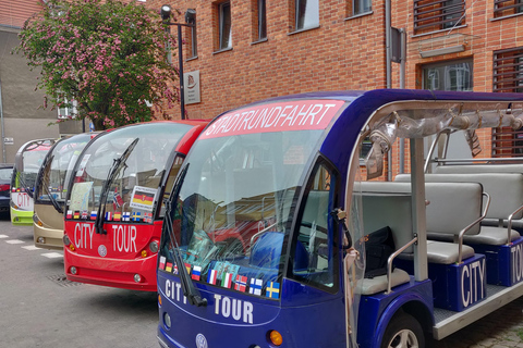 Danzig: VIP Stadtführung Golf Cart 2h+Gradowa Hill View PointDanzig: VIP City Sightseeing Tour Golf Cart 2h+Gradowa Hügel