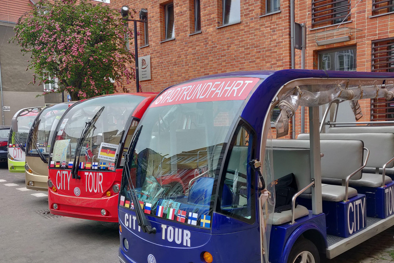 Danzig: VIP Stadtführung Golf Cart 2h+Gradowa Hill View PointDanzig: VIP City Sightseeing Tour Golf Cart 2h+Gradowa Hügel