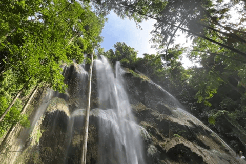 Oslob: Whale Sharks, Tumalog Falls & Sumilon Trio Adventure
