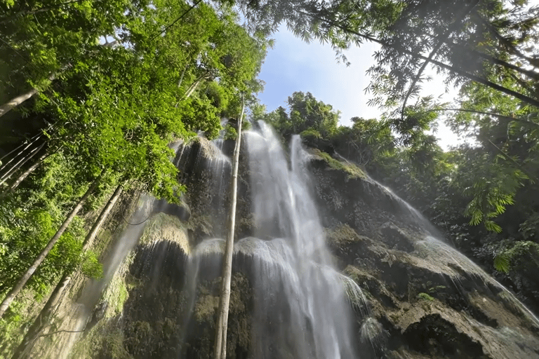 Oslob: Whale Sharks, Tumalog Falls & Sumilon Trio Adventure