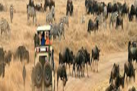 Safári perfeito de 2 dias na Tanzânia: Tarangire &amp; Ngorongoro Tour