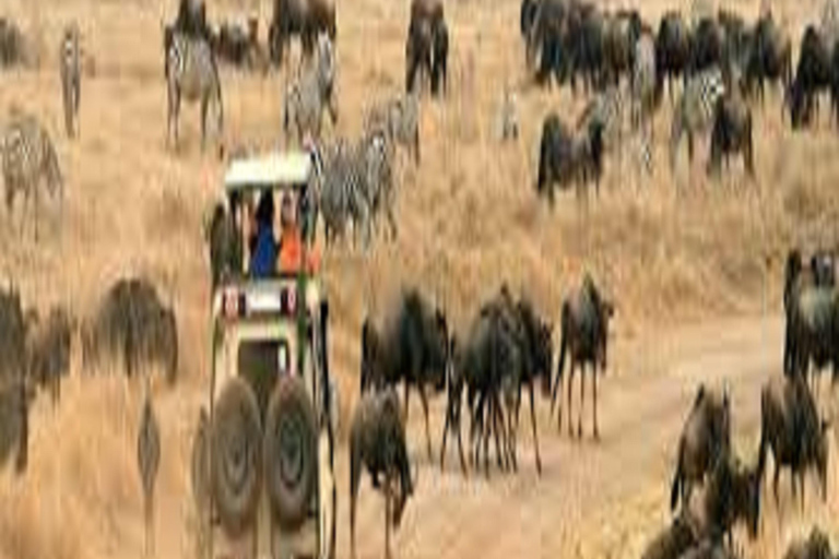 Amazing 8-Days Tour Tarangire &amp; Serengeti Tanzania Safari