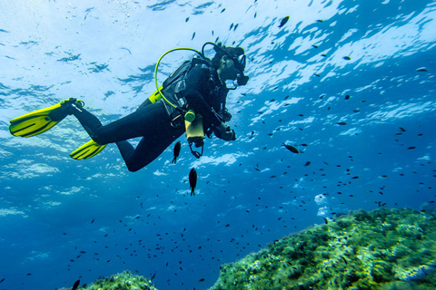Mallorca: duiken zonder brevet met een duikinstructeur vanaf de boot - Cap de FormentorProbeer Scuba - Proefduiken