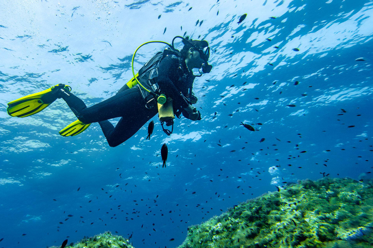 Mallorca: duiken zonder brevet met een duikinstructeur vanaf de boot - Cap de FormentorProbeer Scuba - Proefduiken