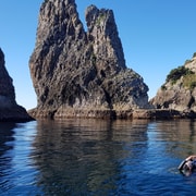 Whitianga Scenic Dive Trip for Certified Divers | New Zealand
