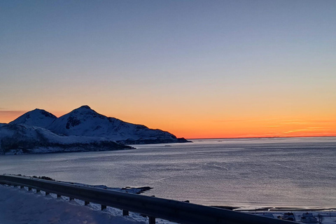 Grøtfjord, Tromsø. Unique Artic scenic route. From Tromsø: Guided Nature Tour & Local Eats Stop and Shop