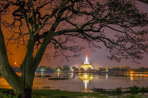 Anuradhapura &amp; Aukana: Private Tagestour von Sigiriya aus