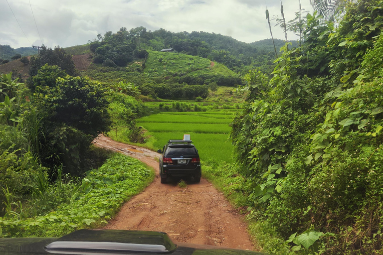 Doi Inthanon National Park (Off road) Private tour