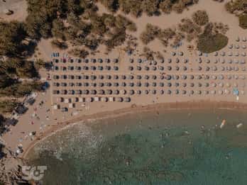 Ierapetra-Makrigialos: Vai Palm Beach, Moni Toplou & Sitia